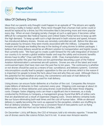 Essay on Idea of Delivery Drones