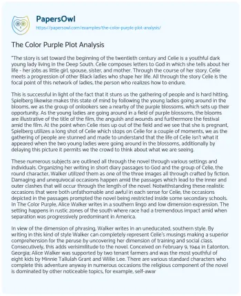 Essay on The Color Purple Plot Analysis