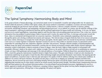 Essay on The Spinal Symphony: Harmonizing Body and Mind