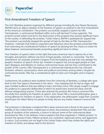 Essay on First Amendment Freedom of Speech