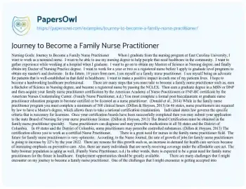 Essay on Journey to Become a Family Nurse Practitioner