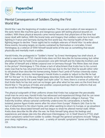 Essay on Mental Consequences of Soldiers during the First World War