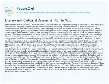 Essay on Literary and Rhetorical Devices in into the Wild