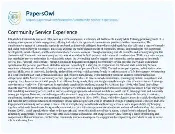 Essay on Community Service Experience