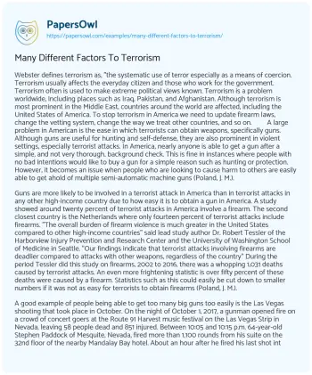 Essay on Many Different Factors to Terrorism