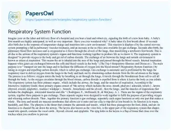 Essay on Respiratory System Function