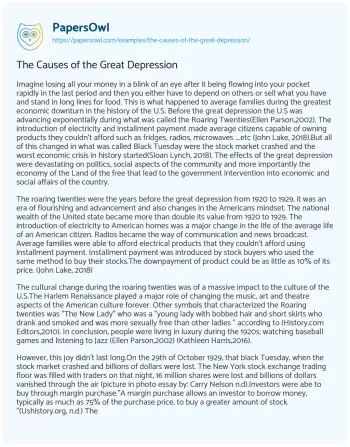 Essay on The Causes of the Great Depression