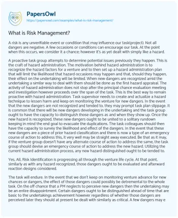 Essay on What is Risk Management?