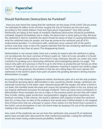 Essay on Should Rainforests Destructions be Punished?