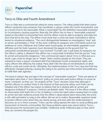 Essay on Terry Vs Ohio and Fourth Amendment