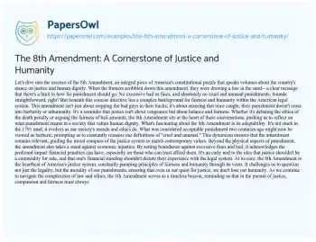 Essay on The 8th Amendment: a Cornerstone of Justice and Humanity