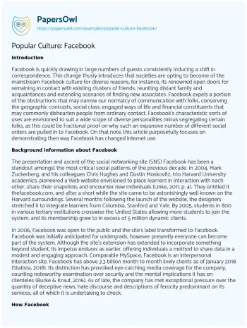 Essay on Popular Culture: Facebook