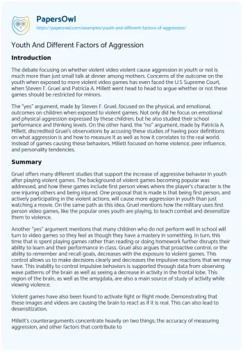 Essay on Youth and Different Factors of Aggression