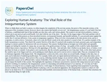 Essay on Exploring Human Anatomy: the Vital Role of the Integumentary System