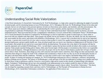 Essay on Social Role Theory Advances Community Integration