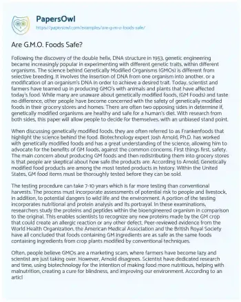 Essay on Are G.M.O. Foods Safe?