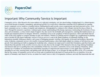 Essay on Important: why Community Service is Important