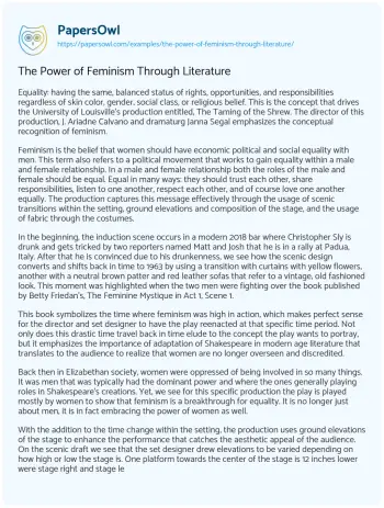 Essay on The Power of Feminism through Literature