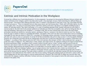 Essay on Extrinsic and Intrinsic Motivation in the Workplace