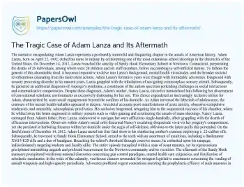 Essay on The Tragic Case of Adam Lanza and its Aftermath