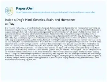 Essay on Inside a Dog’s Mind: Genetics, Brain, and Hormones at Play