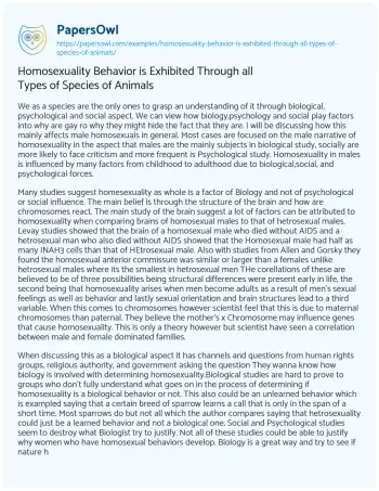 Essay on Homosexuality Behavior is Exhibited through all Types of Species of Animals