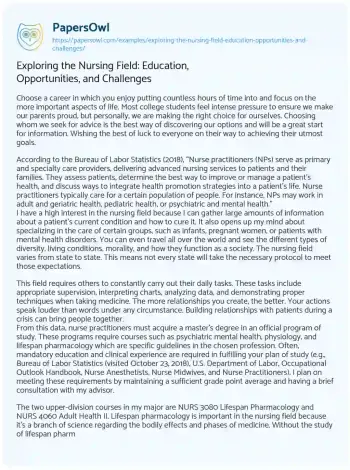 Essay on Exploring the Nursing Field: Education, Opportunities, and Challenges