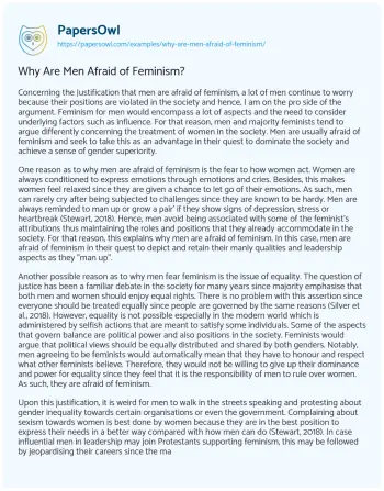 Essay on Why are Men Afraid of Feminism?