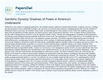 Essay on Gambino Dynasty: Shadows of Power in America’s Underworld