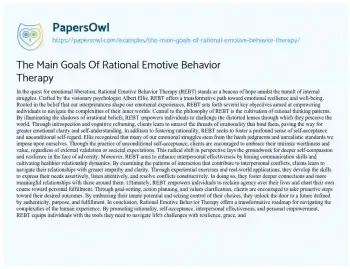 Essay on The Main Goals of Rational Emotive Behavior Therapy