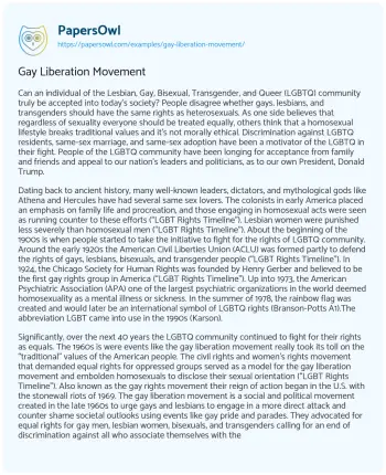 Essay on Gay Liberation Movement