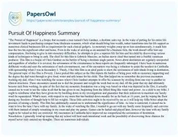 Essay on Pursuit of Happiness Summary