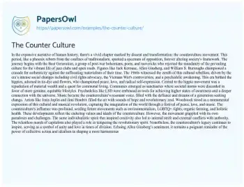 Essay on The Counter Culture