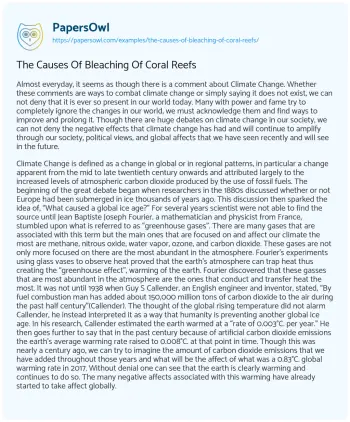 Essay on The Causes of Bleaching of Coral Reefs