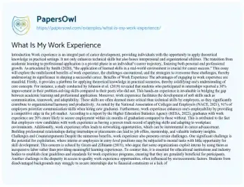 Essay on What is my Work Experience