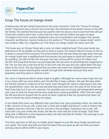 Essay on Essay the House on Mango Street