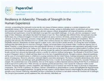 Essay on Resilience in Adversity: Threads of Strength in the Human Experience