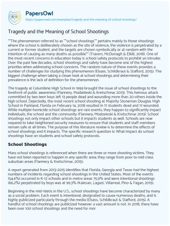 Essay on Tragedy and the Meaning of School Shootings