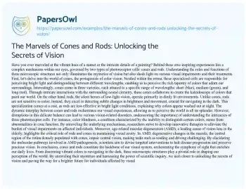 Essay on The Marvels of Cones and Rods: Unlocking the Secrets of Vision