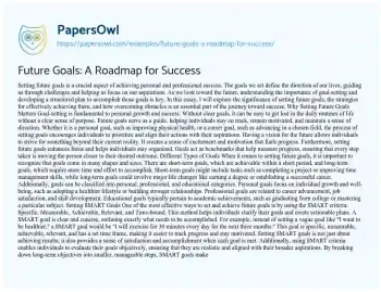 Essay on Future Goals: a Roadmap for Success
