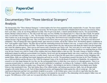 Essay on Documentary Film “Three Identical Strangers” Analysis