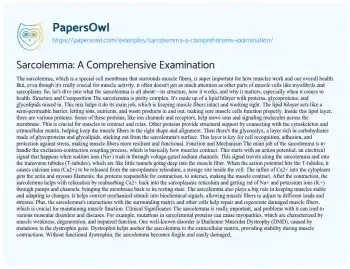 Essay on Sarcolemma: a Comprehensive Examination