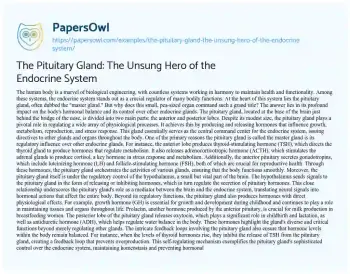 Essay on The Pituitary Gland: the Unsung Hero of the Endocrine System