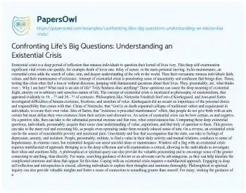 Essay on Confronting Life’s Big Questions: Understanding an Existential Crisis