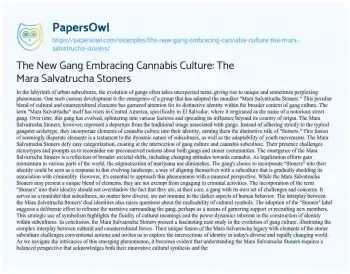 Essay on The New Gang Embracing Cannabis Culture: the Mara Salvatrucha Stoners