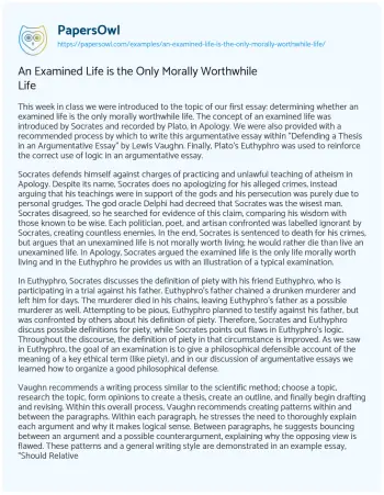 Essay on The Morality of the Examined Life