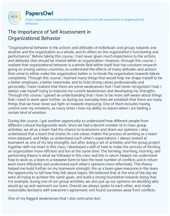 Essay on The Importance of Self Assessment in Organizational Behavior