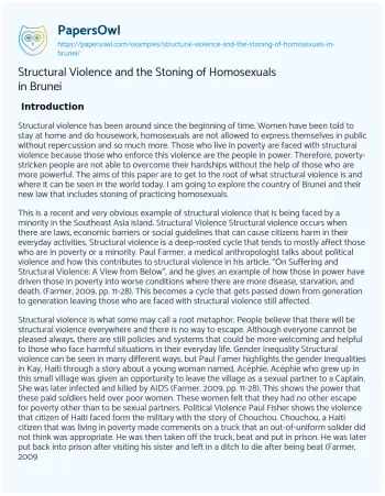 Essay on Structural Violence and the Stoning of Homosexuals in Brunei