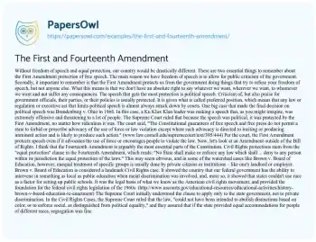 Essay on The Importance of Free Speech and Equal Protection in America