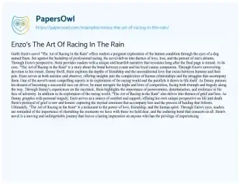 Essay on Enzo’s the Art of Racing in the Rain